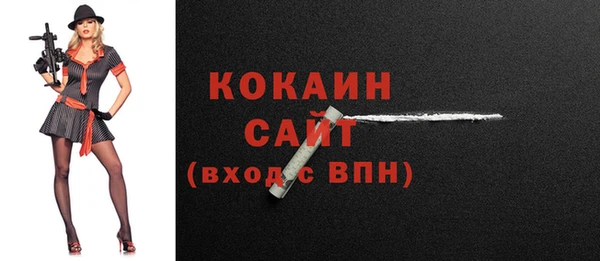 хмурый Бородино