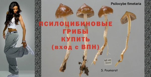 хмурый Бородино