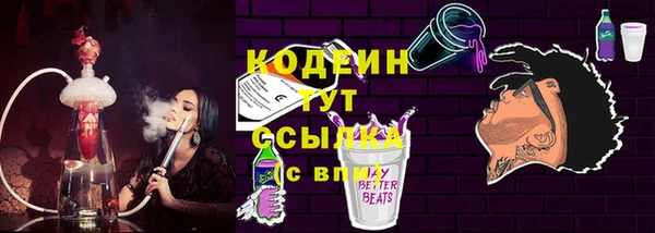 хмурый Бородино