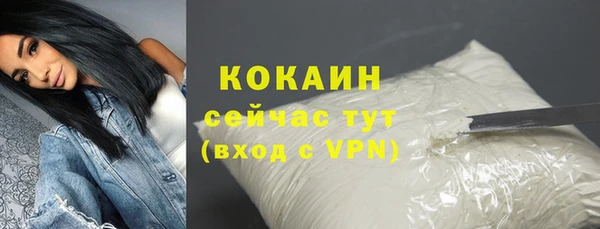 хмурый Бородино
