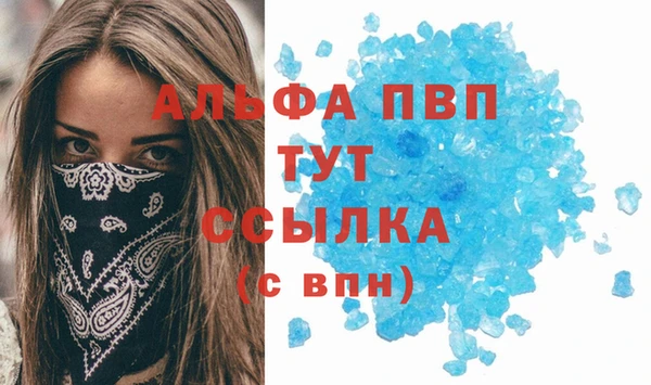 хмурый Бородино