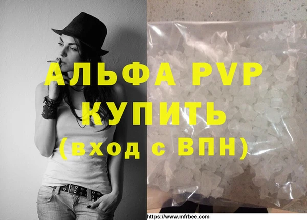 хмурый Бородино